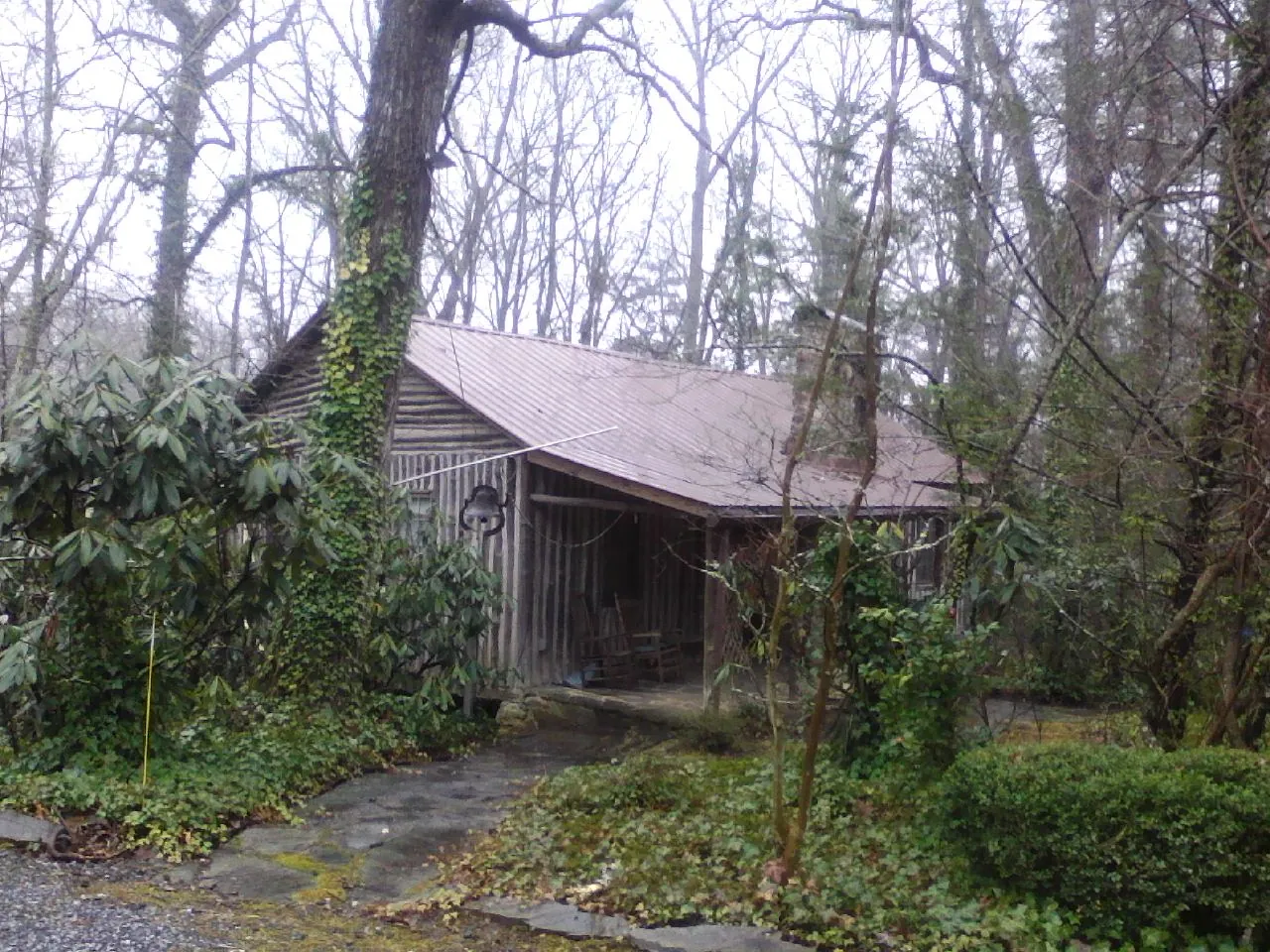 Weathered metal roof on an old board sided cabin in the woods in Yucaipa