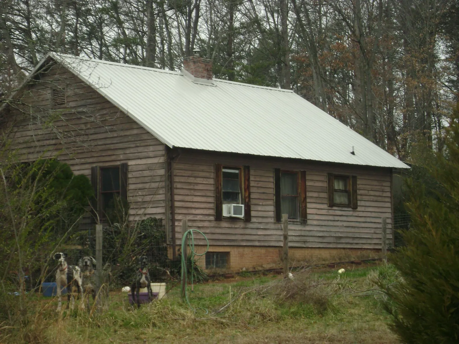 White metal roof on an old wood sided farmhouse, from a Asphalt Shingle Roof Repair job in Yucaipa